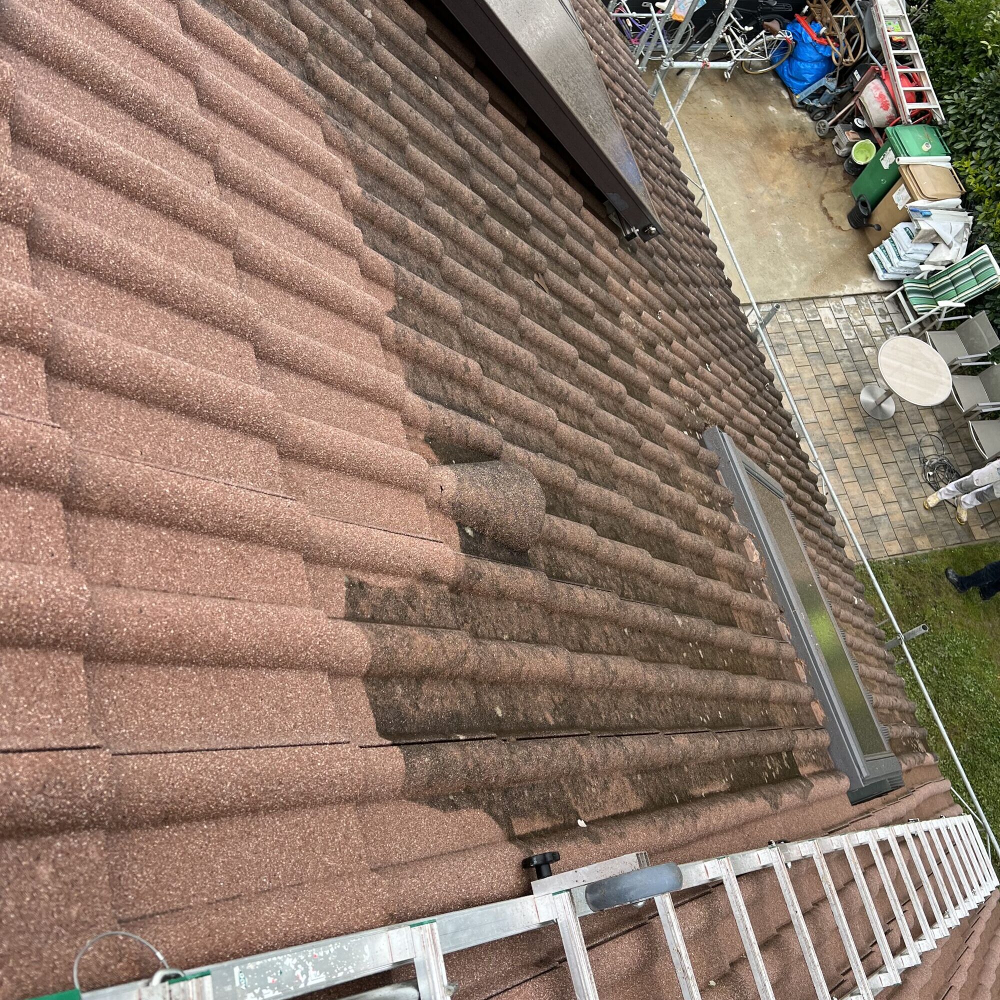 Toiture envahie par la mousse ? Voici les solutions les plus efficaces pour l&rsquo;&eacute;liminer durablement Saint-Louis